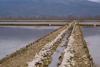 Bijenale u Veneciji: Istraživanje jednog od najvećih post-industrijskih pejzaža Evrope