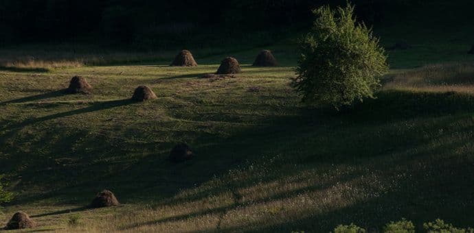 Fotografije Dejana Kalezića u prestižnoj briselskoj galeriji Fotografije Dejana Kalezića u prestižnoj briselskoj galeriji