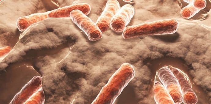 Ljekari u strahu: Nova polno prenosiva bolest gotovo neizlječiva Ljekari u strahu: Nova polno prenosiva bolest gotovo neizlječiva