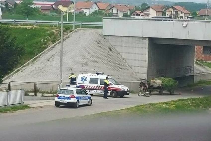 Bijeljina: Sudarili se magarac i biciklista Bijeljina: Sudarili se magarac i biciklista