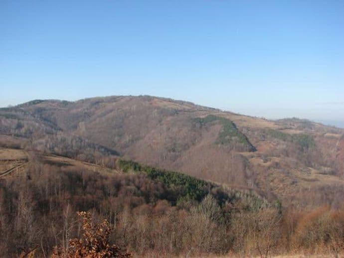 Džip osumnjičenog za dvostruko ubistvo pronađen na granici sa Srbijom Džip osumnjičenog za dvostruko ubistvo pronađen na granici sa Srbijom