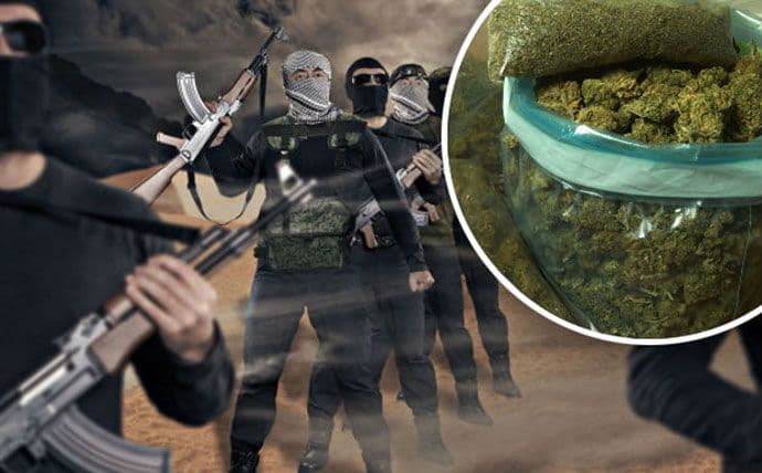 Dekriminalizacija marihuane mogla bi biti dobro oružje protiv terorista Dekriminalizacija marihuane mogla bi biti dobro oružje protiv terorista