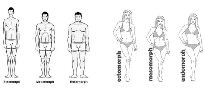 Vježbajte prema građi: Koji je vaš tip tijela? Vježbajte prema građi: Koji je vaš tip tijela?