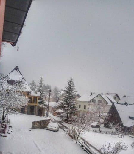 Na Žabljaku pada snijeg Na Žabljaku pada snijeg