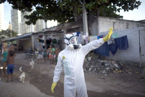 SZO: Moguć porast broja zaraženih zika virusom u Evropi SZO: Moguć porast broja zaraženih zika virusom u Evropi