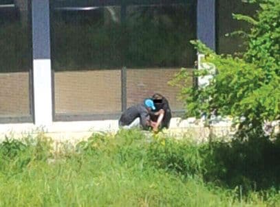 Ujedinjeni u zločinu: Hrvat uzgajao drogu, Srbin pakovao, a Bosanac naređivao Ujedinjeni u zločinu: Hrvat uzgajao drogu, Srbin pakovao, a Bosanac naređivao