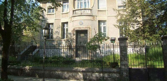 Priča Portala Analitika: Ona i uveli list Priča Portala Analitika: Ona i uveli list