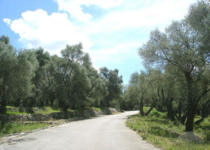 Forca: MF odbilo zahtjev MN Invest o razmjeni zemljišta u Valdanosu za zemljište u Nikšiću Forca: MF odbilo zahtjev MN Invest o razmjeni zemljišta u Valdanosu za zemljište u Nikšiću