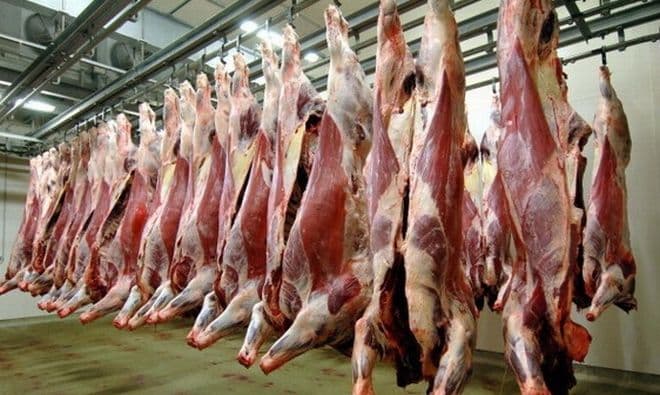 Srbija uvezla svinjskog mesa za 37 miliona dolara Srbija uvezla svinjskog mesa za 37 miliona dolara