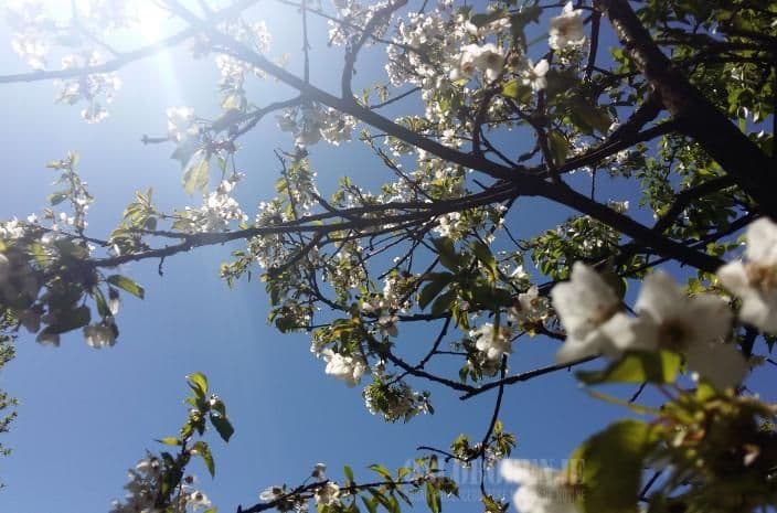 Danas sunčano, temperatura do 27 stepeni Danas sunčano, temperatura do 27 stepeni