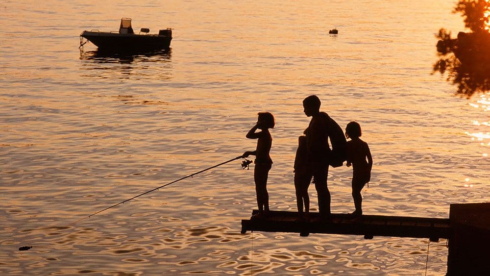 Viktor Ivančić : Fašisti i reformisti Viktor Ivančić : Fašisti i reformisti
