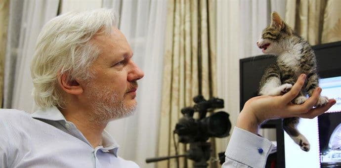 Džulijan Asanž dobio mače da mu pravi društvo Džulijan Asanž dobio mače da mu pravi društvo