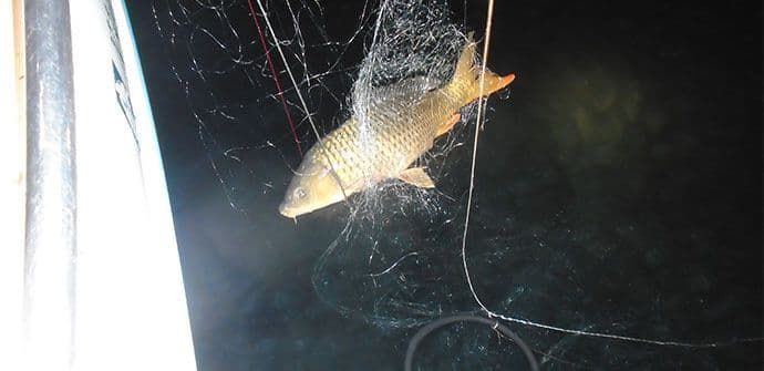 NP Skadarsko jezero: Krivične prijave protiv šest lica NP Skadarsko jezero: Krivične prijave protiv šest lica