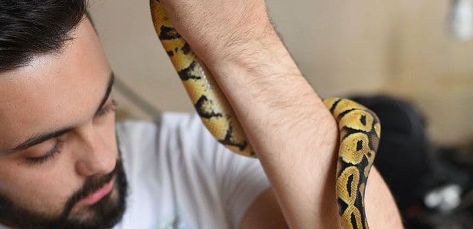 Podgoričanin njeguje zmije: Gospodske životinje, lakše su za čuvanje od pasa i mačaka Podgoričanin njeguje zmije: Gospodske životinje, lakše su za čuvanje od pasa i mačaka