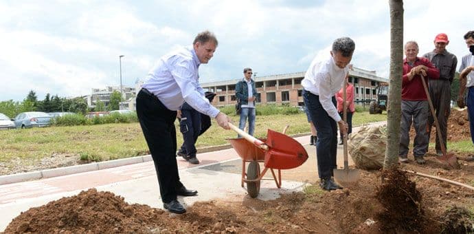 Zasađen novi drvored na Bulevaru Mihaila Lalića Zasađen novi drvored na Bulevaru Mihaila Lalića