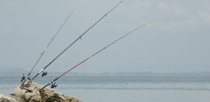 Prestanak ribolovnog zabrana u NP Skadarsko jezero Prestanak ribolovnog zabrana u NP Skadarsko jezero