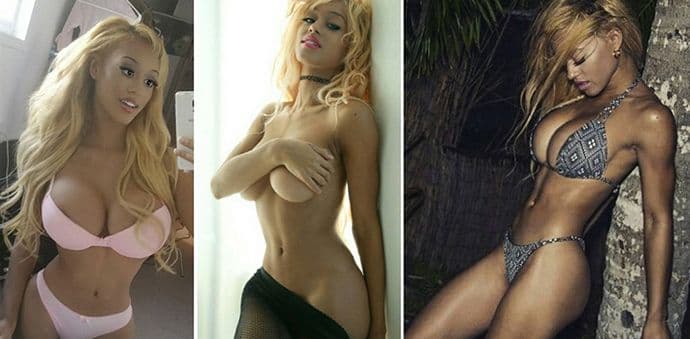 FOTO: Širokogruda zečica, Stormi Maja FOTO: Širokogruda zečica, Stormi Maja