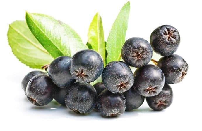 Ova namirnica smanjuje rizik od raka, ubija viruse i usporava starenje Ova namirnica smanjuje rizik od raka, ubija viruse i usporava starenje