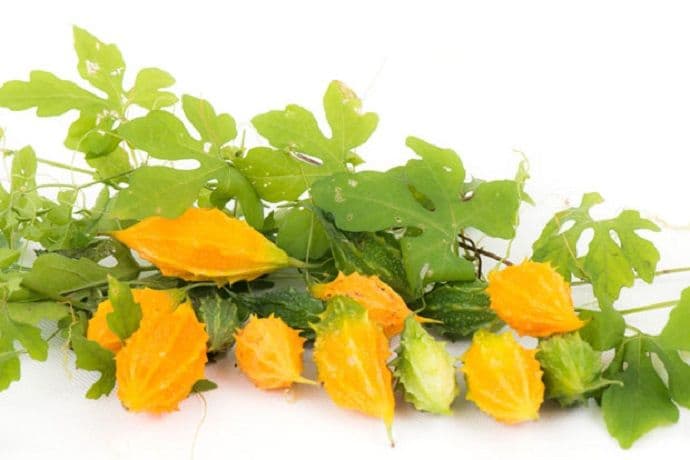 Prirodni insulin, ubija viruse i liječi psorijazu Prirodni insulin, ubija viruse i liječi psorijazu