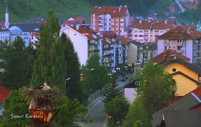 Rožaje: Vratile se rode Rožaje: Vratile se rode