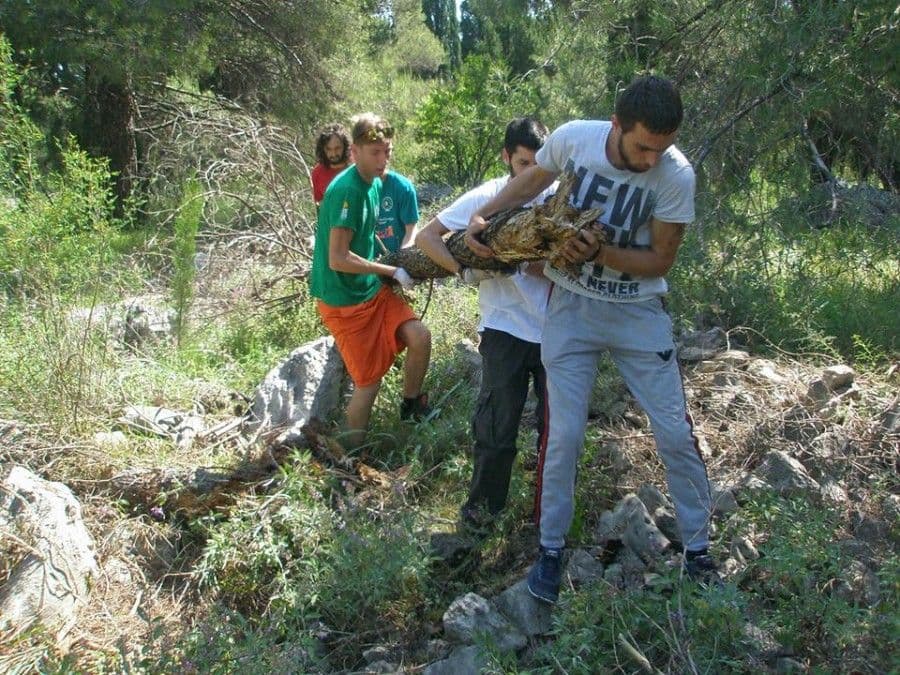 Volonteri čistili Goricu Volonteri čistili Goricu