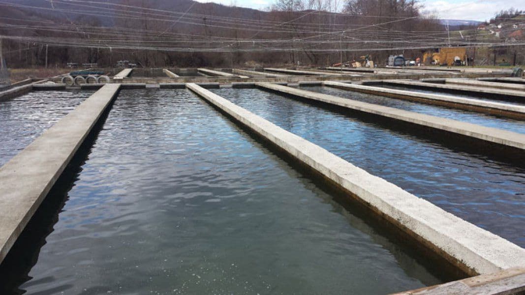 Sjutra predstavljanje donirane opreme za ribnjake Sjutra predstavljanje donirane opreme za ribnjake