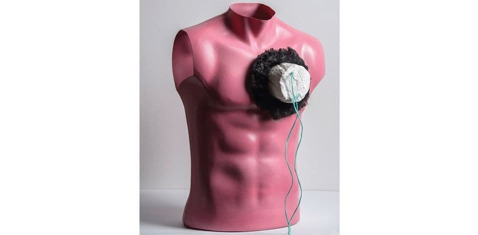 "Umjetnik kroz ca" Suzane Pajović u Galeriji "Centar" "Umjetnik kroz ca" Suzane Pajović u Galeriji "Centar"