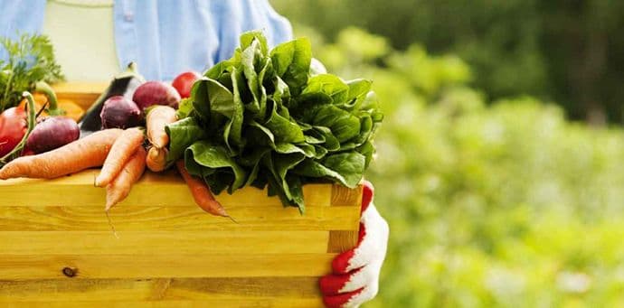 Od vikenda "Pijaca ruralnih proizvoda" u Budvi Od vikenda "Pijaca ruralnih proizvoda" u Budvi