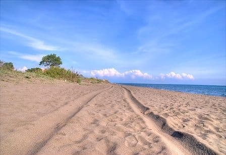 Ulcinj: Grade septičku jamu na plaži Ulcinj: Grade septičku jamu na plaži