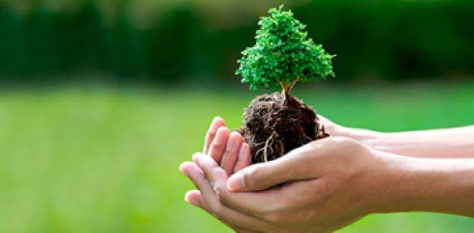 Danas se obilježava Dan životne sredine Danas se obilježava Dan životne sredine