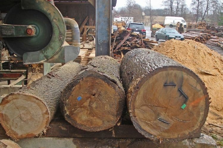 Rast proizvodnje šumskih sortimenata Rast proizvodnje šumskih sortimenata