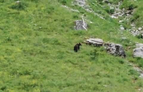 NP Prokletije - “PODIVLJAJMO ZA ŽIVOT“ NP Prokletije - “PODIVLJAJMO ZA ŽIVOT“