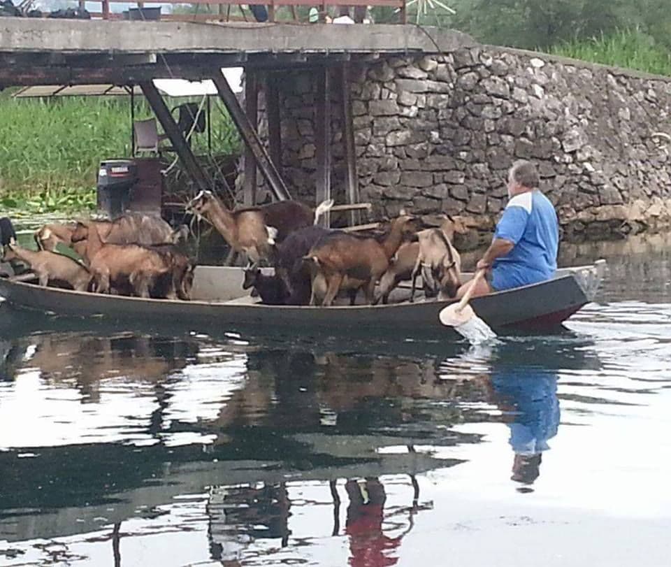 Fotografija iz Dodoša koja je oduševila korisnike društvenih mreža Fotografija iz Dodoša koja je oduševila korisnike društvenih mreža