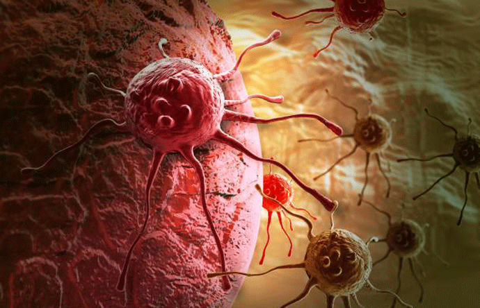 Naučnici okončali nagađanja: Evo šta stvarno izaziva rak Naučnici okončali nagađanja: Evo šta stvarno izaziva rak