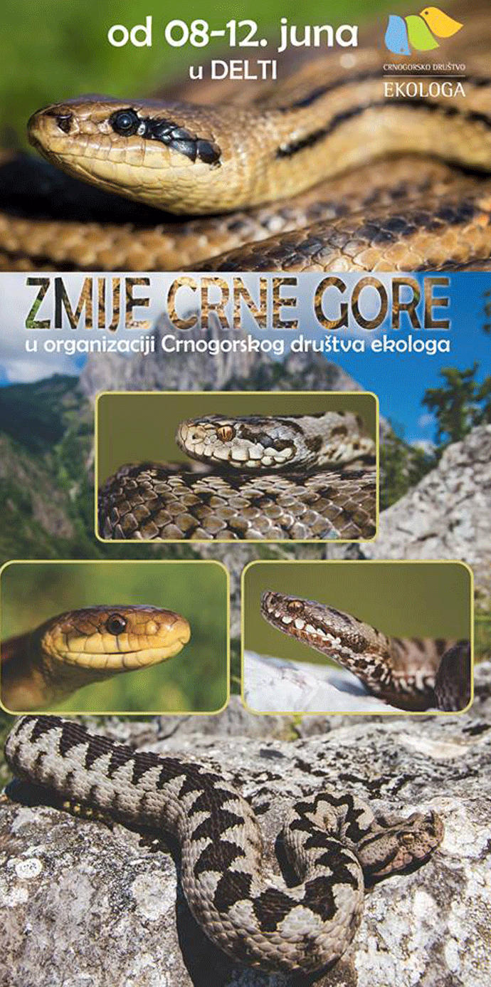 Podgorica: Crnogorske zmije na jednom mjestu Podgorica: Crnogorske zmije na jednom mjestu