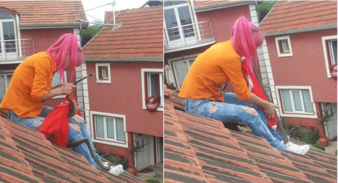 Popela se na krov da bi spasila smuka (FOTO) Popela se na krov da bi spasila smuka (FOTO)