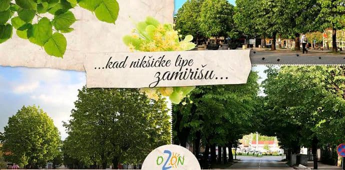 Konkurs o nikšićkim lipama produžen do 1. jula Konkurs o nikšićkim lipama produžen do 1. jula