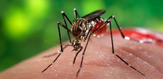 Potvrđen prvi slučaj zika virusa u Sloveniji Potvrđen prvi slučaj zika virusa u Sloveniji