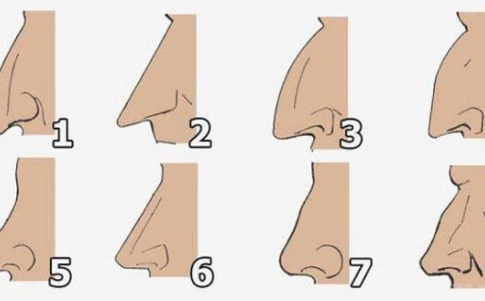 Evo šta oblik nosa govori o vašem karakteru Evo šta oblik nosa govori o vašem karakteru