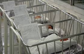 KCCG: Rođeno 5 beba KCCG: Rođeno 5 beba