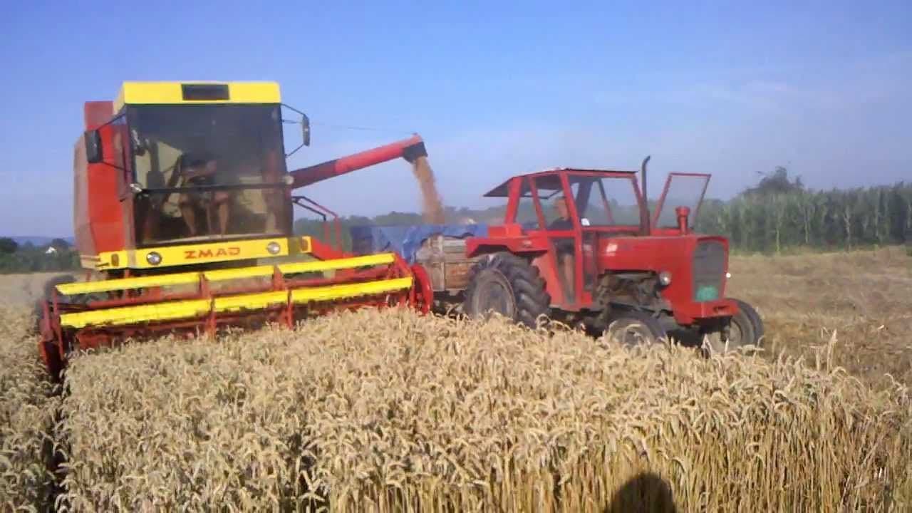 Glavni grad subvencioniše ratare: Evo koliko iznosi podrška Glavni grad subvencioniše ratare: Evo koliko iznosi podrška