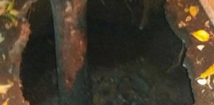 FOTO: Zemlja „progutala“ stablo u Budvi FOTO: Zemlja „progutala“ stablo u Budvi