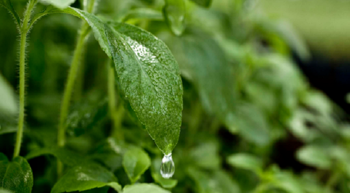 Ljudi najčešće umiru od ove četiri bolesti, a evo odlične prevencije Ljudi najčešće umiru od ove četiri bolesti, a evo odlične prevencije