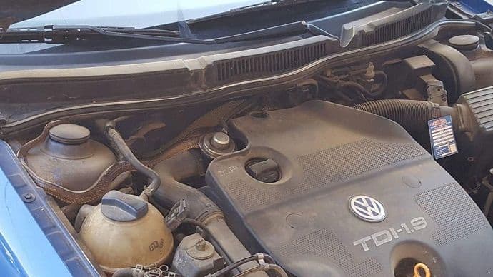 BP: Našli zmiju u automobilu BP: Našli zmiju u automobilu