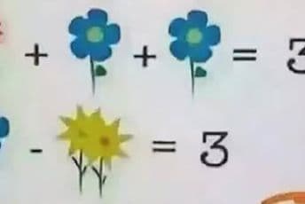 Zadatak sa cvijećem koji ne mogu da riješe ni nastavnici matematike