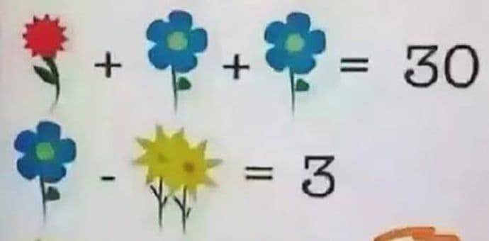 Zadatak sa cvijećem koji ne mogu da riješe ni nastavnici matematike Zadatak sa cvijećem koji ne mogu da riješe ni nastavnici matematike