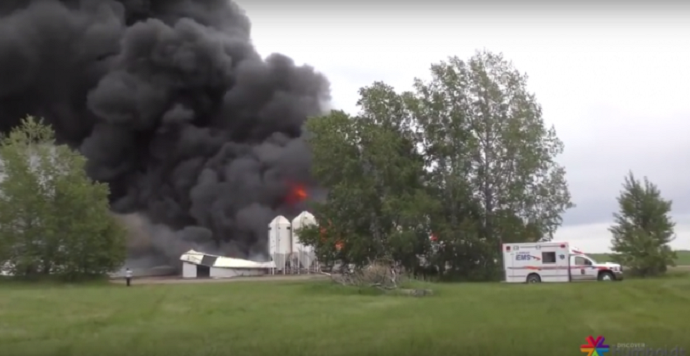 Požar u ambarima, izgorjelo 5.000 svinja (VIDEO) Požar u ambarima, izgorjelo 5.000 svinja (VIDEO)