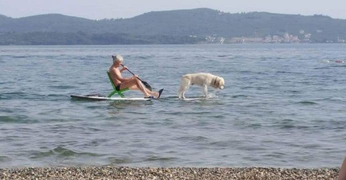 Ko kaže da su surfovanje pasa izmislili u Kaliforniji? Ko kaže da su surfovanje pasa izmislili u Kaliforniji?