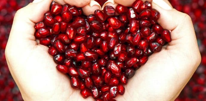 Akcija davanja krvi: Daj krv, daj sad, daj često Akcija davanja krvi: Daj krv, daj sad, daj često