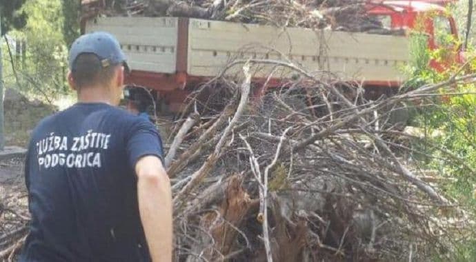 Gradske službe nastavile da uređuju Goricu Gradske službe nastavile da uređuju Goricu